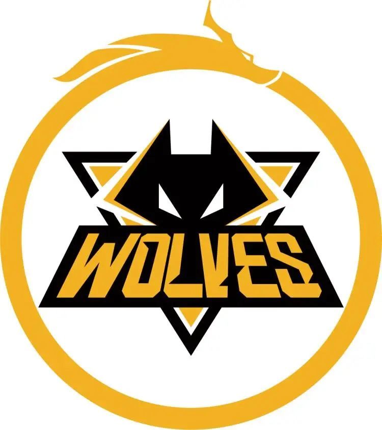 全球《绝地求生》公开和《尼尔》系列之间的联动视频